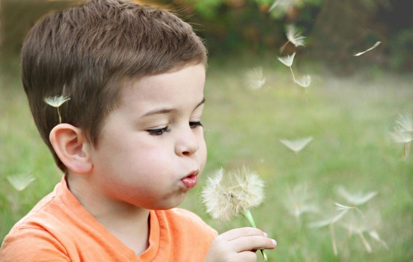 Young boy blowing dandelion seeds